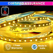 5M LED Strip Light Flexible Decor String Lighting for Festivals or DIY Home Decoration with 12V 5A Power Adapter (240 LEDs/m) amiciKart