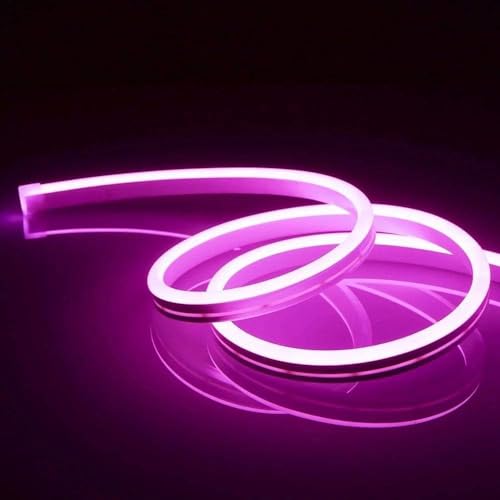 amiciVision Purple Neon LED Strip Light | 5m Long, Waterproof Decoration String Light with DC12V Adapter and Blinker