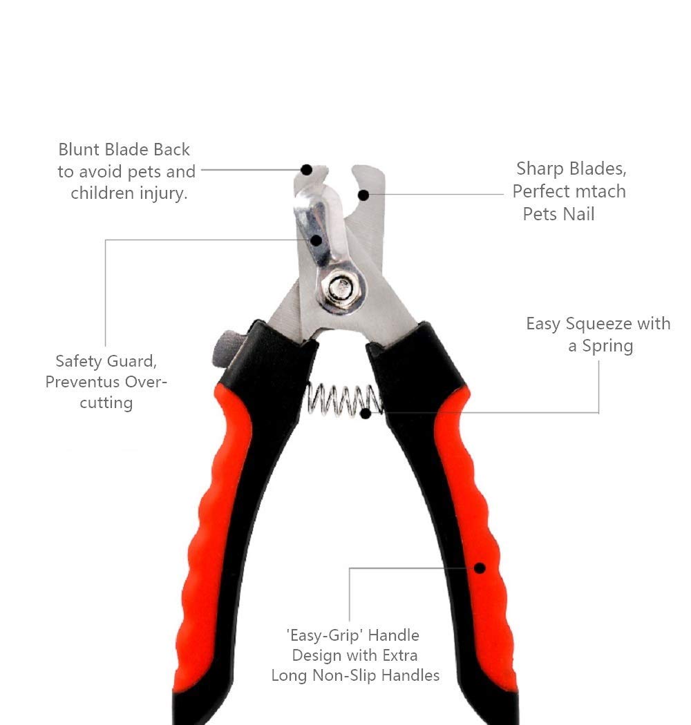Pet Nail Clipper and Trimmer Dog Nail Cutter/Scissor with Free Nail File