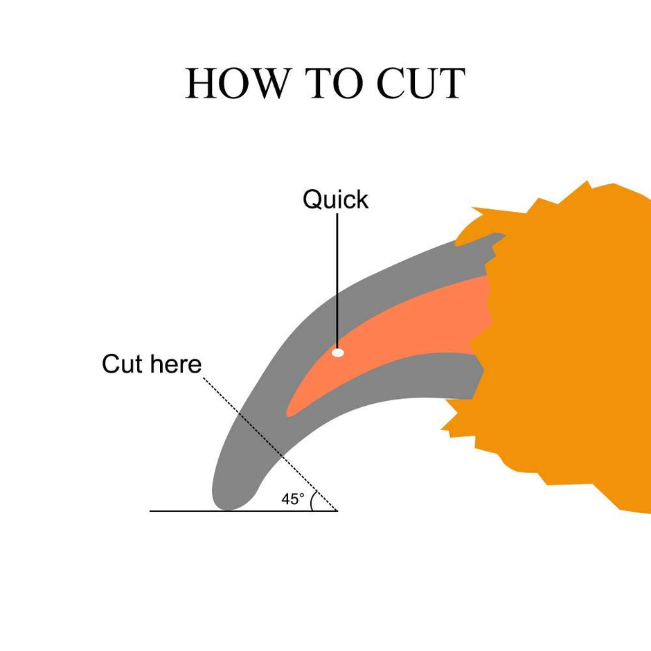 Pet Nail Clipper and Trimmer Dog Nail Cutter/Scissor with Free Nail File