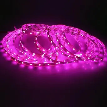 5M LED Strip Light Flexible Décor Lighting For Diwali Or Home Decoration with 12V Adapter (120 LEDs/m)