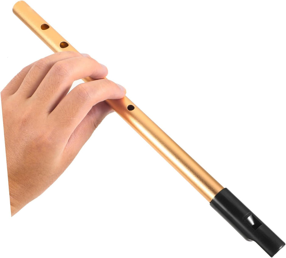 Mini Clarinet for Beginners- C/D Key Irish Whistle Tin Penny Flute Musical Instrument