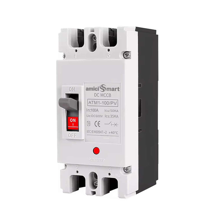600V DC Circuit Breaker for Solar & Renewable Systems (100A)