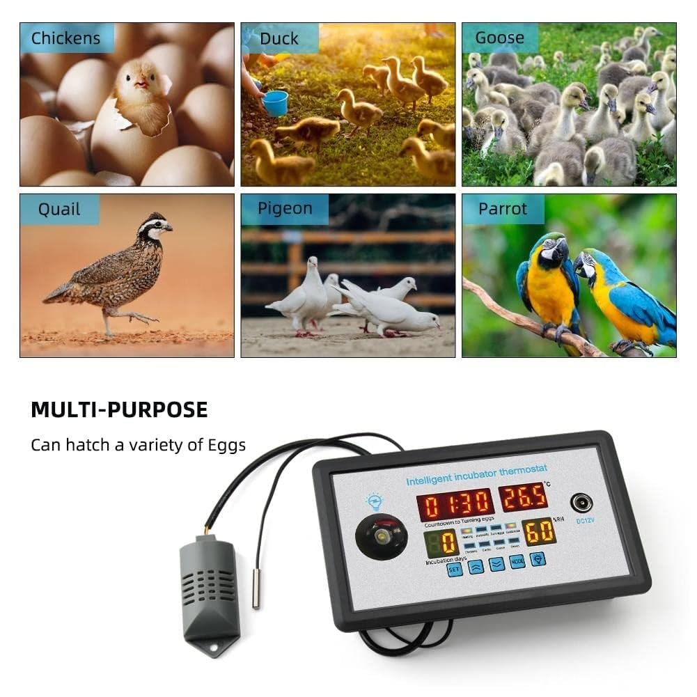 Intelligent Incubator Controller, DC 12V Digital Thermostat for Incubation, Hatching & Brooding with NTC Sensor & Egg Light