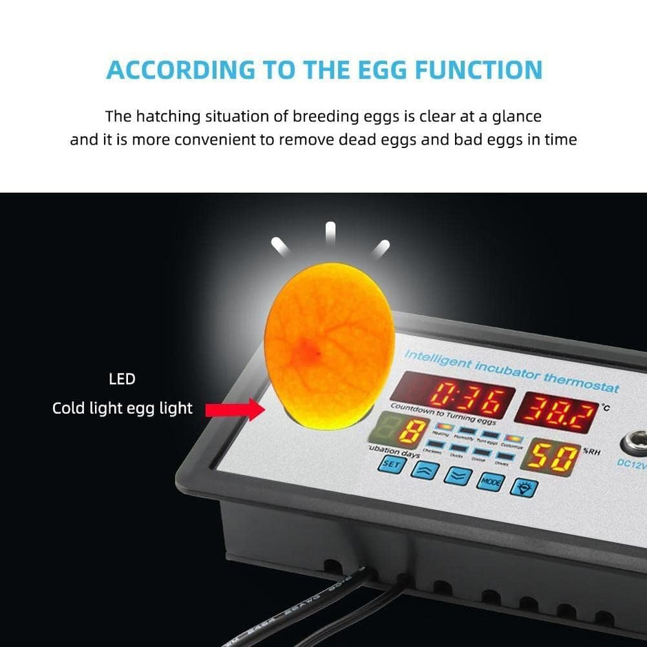 Intelligent Incubator Controller, DC 12V Digital Thermostat for Incubation, Hatching & Brooding with NTC Sensor & Egg Light