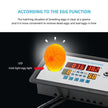Intelligent Incubator Controller, DC 12V Digital Thermostat for Incubation, Hatching & Brooding with NTC Sensor & Egg Light