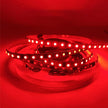 5M LED Strip Light Flexible Decor String Lighting For festivals Or Home Decoration with 12V Adapter (120 LEDs/m) amiciKart c0tmiz-hs.myshopify.com