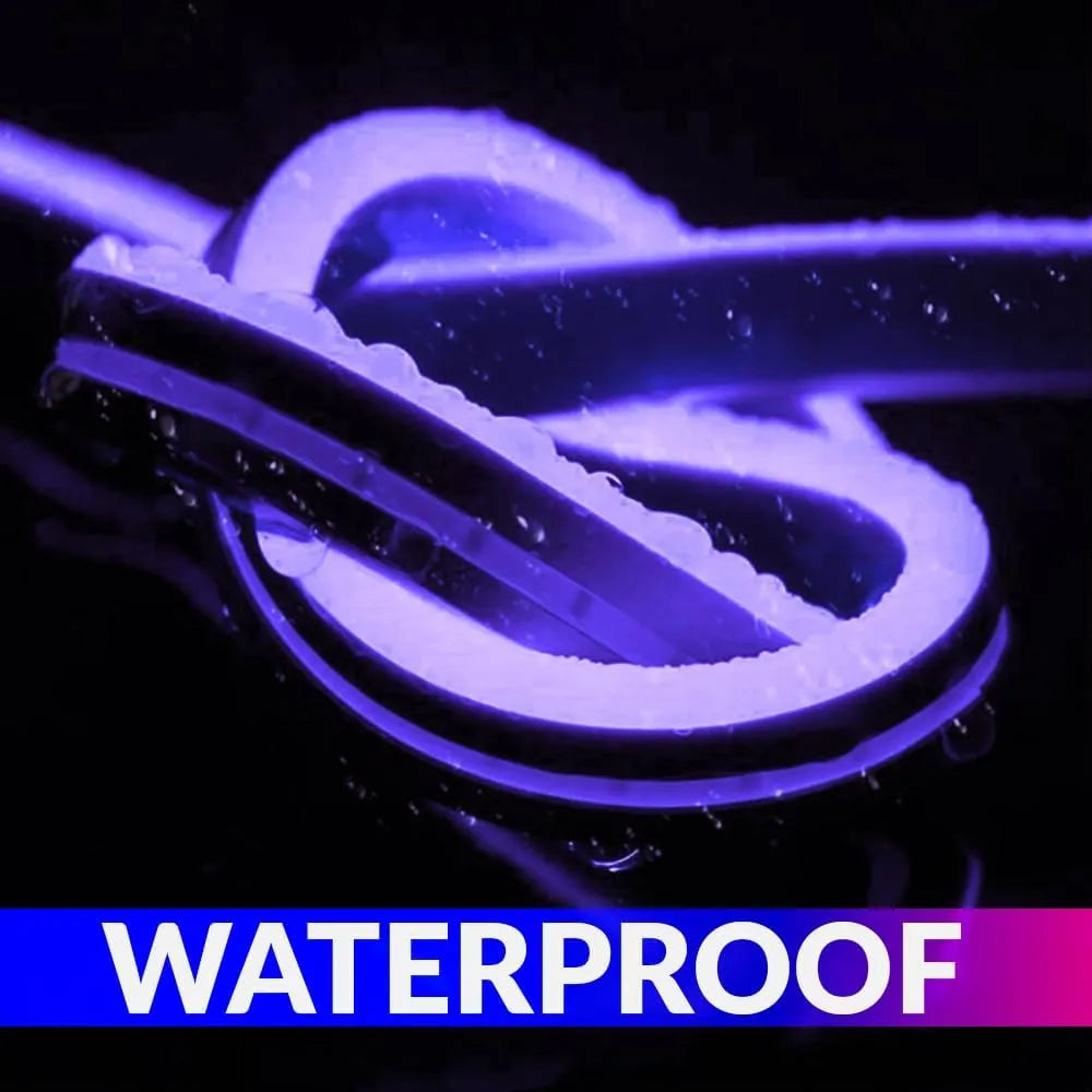 amiciVision Purple Neon LED Strip Light | 5m Long, Waterproof Decoration String Light with DC12V Adapter and Blinker Purple 5M LED Strip Light Flexible, Waterproof Decorative String Lights for Festivals or Home Décor amiciKart amiciVision Purple Neon LED Strip Light | 5m Long, Waterproof Decoration String Light with DC12V Adapter and Blinker c0tmiz-hs.myshopify.com