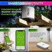Wi-Fi Digital Rain Gauge – Accurate Rainfall Monitor with RainPoint App Alerts  (Wifi Gateway Sold Separately)