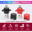 Pure Copper Battery Terminal Connectors – Positive & Negative Set, Supports up to 1500V DC amiciKart c0tmiz-hs.myshopify.com