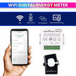 WIFI Bi-Directional Energy Meter with 200A CT