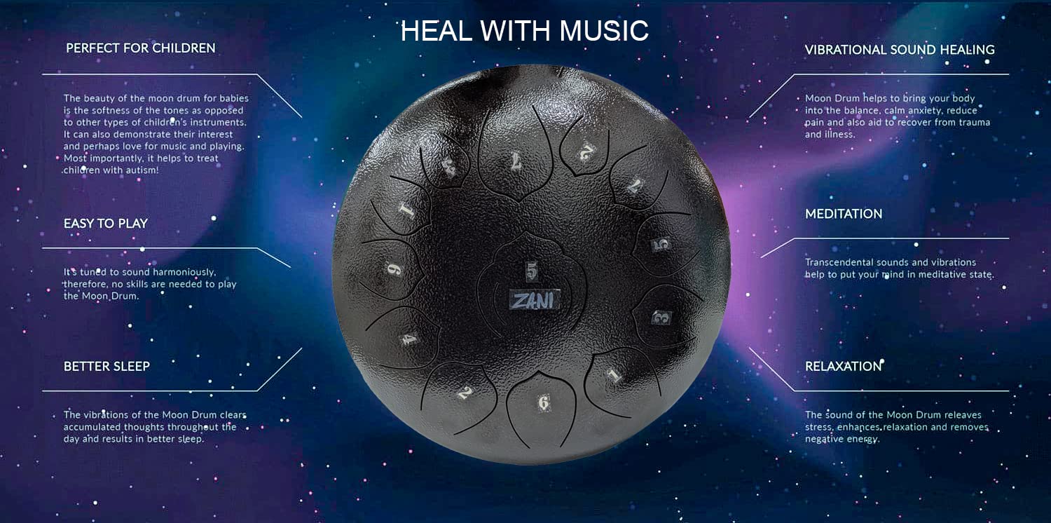 13 Notes Tongue Drum, 12 Inch Lotus Pattern Steel Drum with Carry Bag amiciKart c0tmiz-hs.myshopify.com