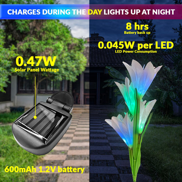 Solar-Powered Multi-Color Garden Light with 4 Lily Flowers | Auto On/Off | Waterproof (Pack of 2) amiciKart c0tmiz-hs.myshopify.com