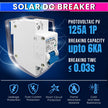 Overloads and Short Circuit Protection 125A DC Circuit Breaker 250V DIN Rail Mount, Solar & Battery Protection amiciKart