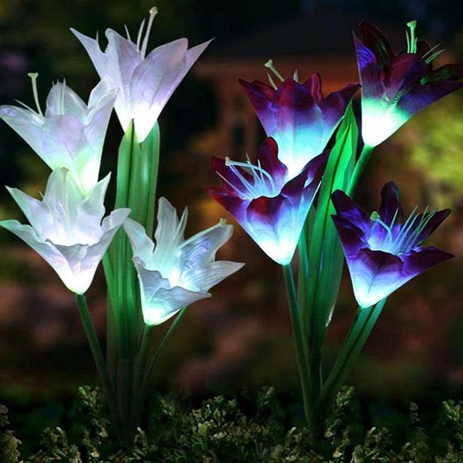 Solar-Powered Multi-Color Garden Light with 4 Lily Flowers | Auto On/Off | Waterproof (Pack of 2) amiciKart