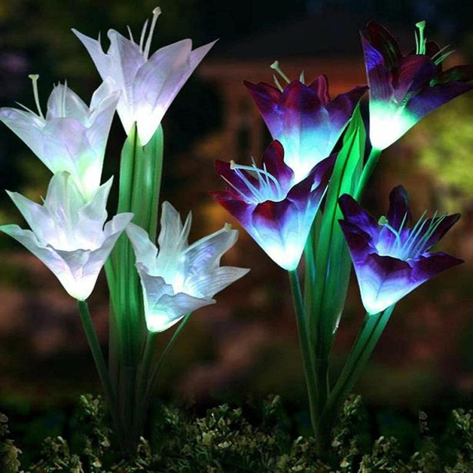 Solar-Powered Multi-Color Garden Light with 4 Lily Flowers | Auto On/Off | Waterproof (Pack of 2) amiciKart