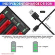 18650 Battery Charger with LED & Adjustable Speed up to 2A, for AA/AAA Rechargeables Battery amiciKart