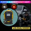 Dual Power AC/DC Inflator & Deflator with Tubeless Tyre Puncture Repair Kit