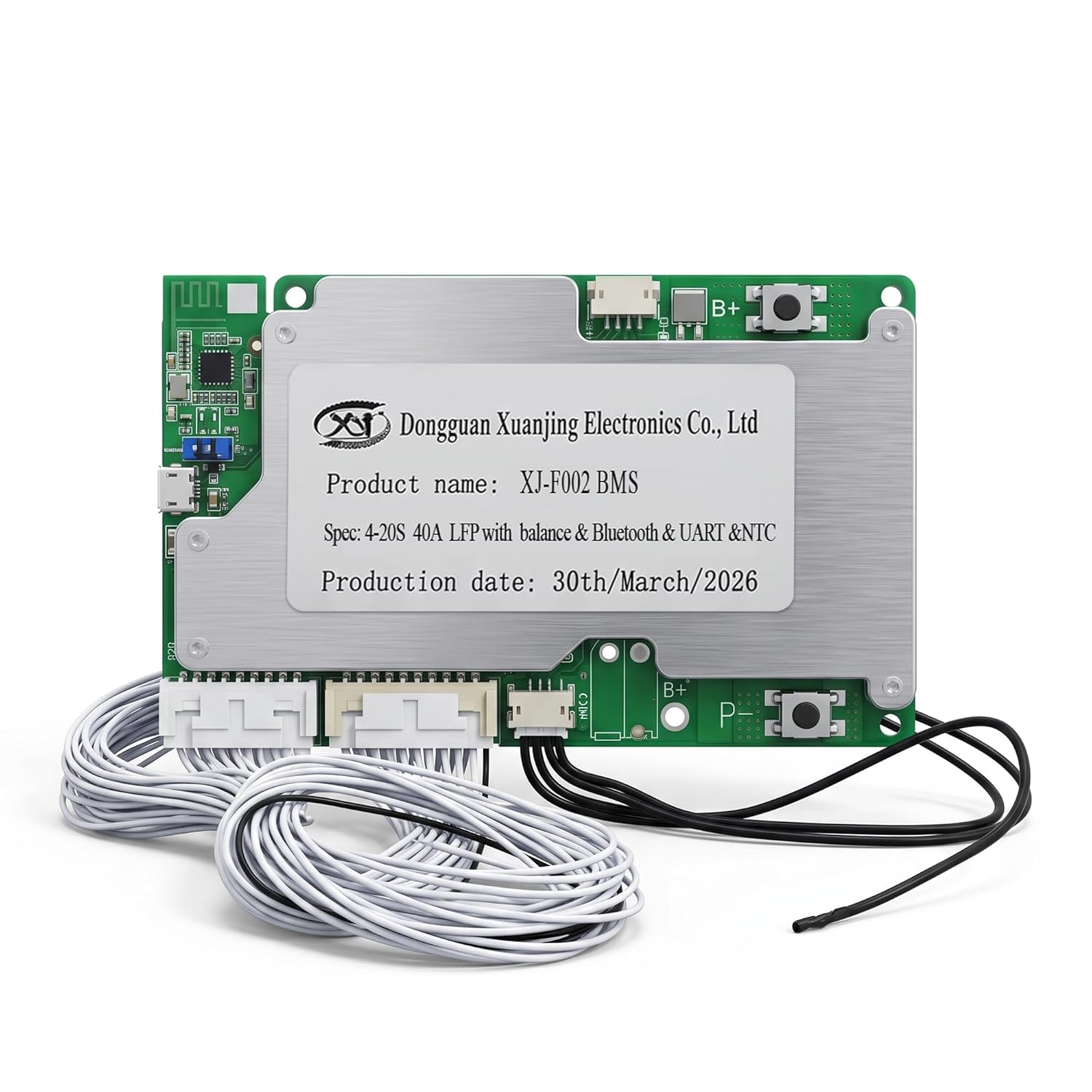 4S–20S 40A Smart BMS for LiFePO4 Battery Pack | Cell Balancing with NTC Protection