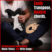 amiciSound Circle of Fifth Wheel for Music Theory Reference, Wooden Melody Tool for Song-Writer Musician