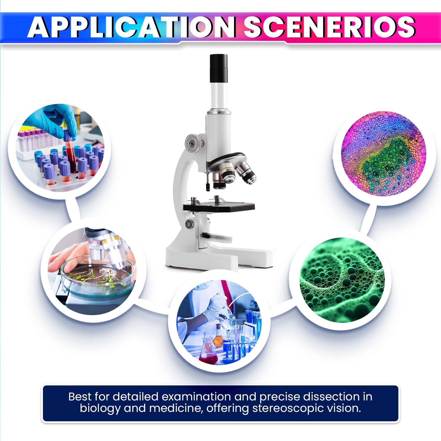 2400X Monocular Optical Microscope with Multiple Objective Lenses amiciKart c0tmiz-hs.myshopify.com