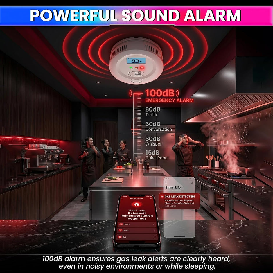 WiFi Smart Gas Leak Detector with App Alerts, 100dB Alarm & LCD Display