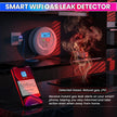 WiFi Smart Gas Leak Detector with App Alerts, 100dB Alarm & LCD Display