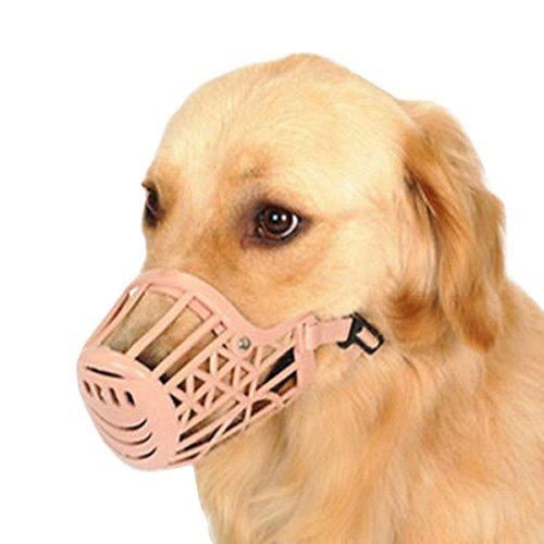 Dog Stick Combo (Stick with Mask with Nail Clipper and Filer)