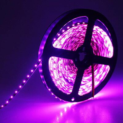 4040 LED Strip Light 5m Long 60 LED/M PURPLE / PINK Color Non Waterproof With 3 Key Controller and 2 Amp Adapter